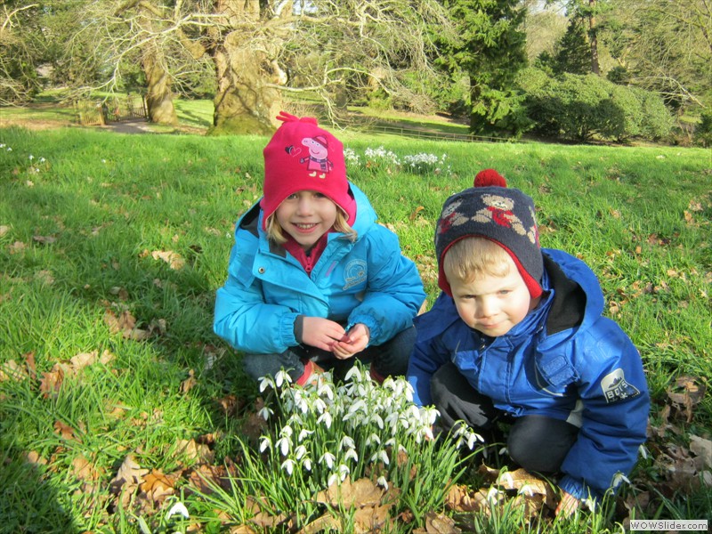 Jessica and Elliot at Killerton spring 2014